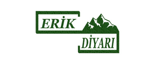 Erik Diyarı