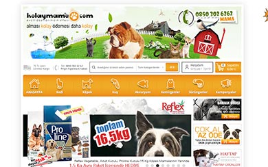 Dorarkiytek Gıda Hay. Tur. Teks. Bil. Elek. Kır. Rek. San. Ve Tic. Ltd. Şti.