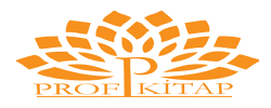 Prof Kitap