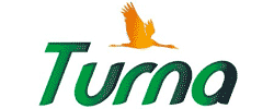Turna