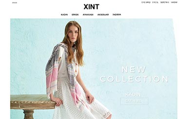 Xint